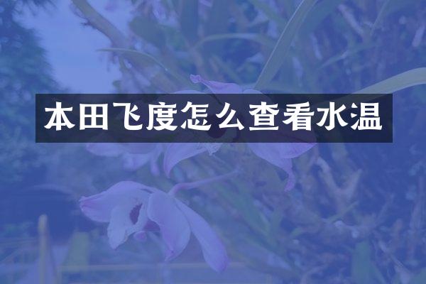 本田飞度怎么查看水温