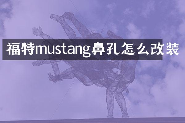 福特mustang鼻孔怎么改装