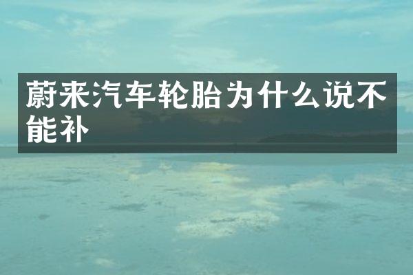 蔚来汽车轮胎为什么说不能补
