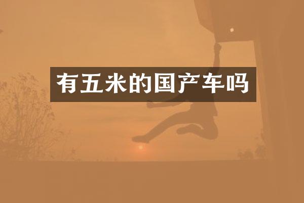 有五米的国产车吗