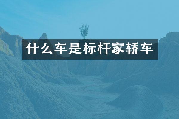 什么车是标杆家轿车