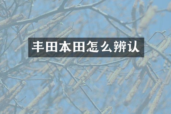 丰田本田怎么辨认