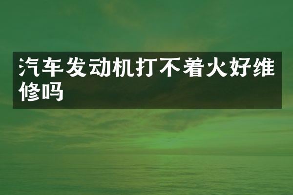 汽车发动机打不着火好维修吗