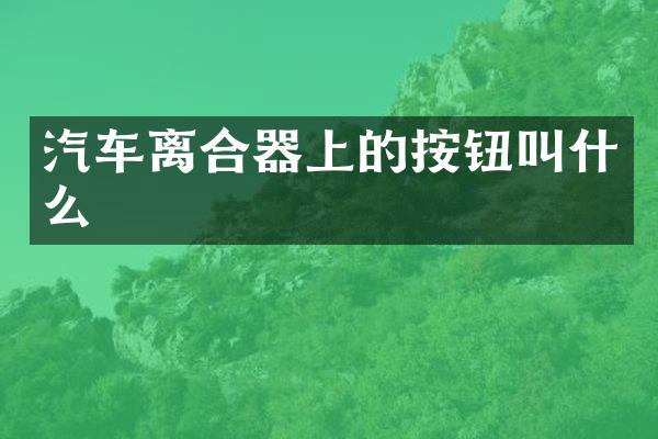 汽车离合器上的按钮叫什么