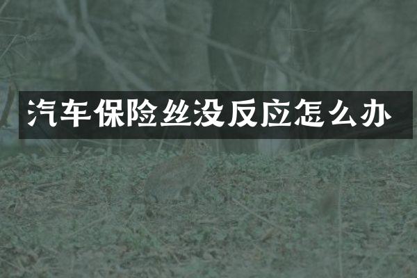 汽车保险丝没反应怎么办