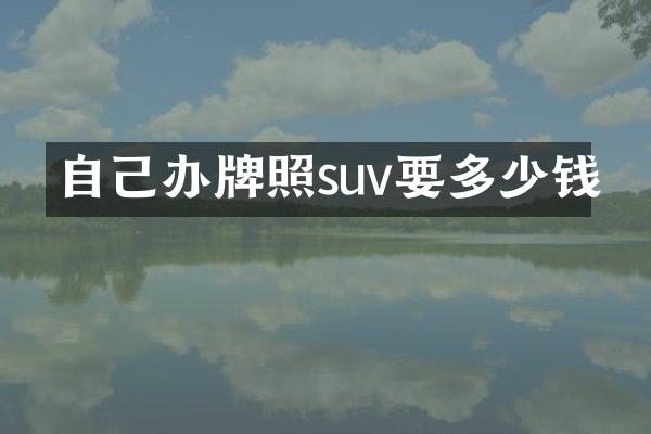 自己办牌照suv要多少钱
