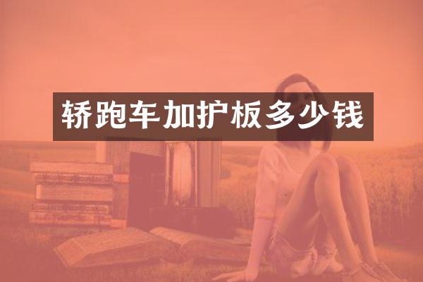 轿跑车加护板多少钱