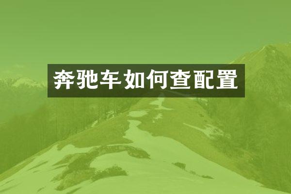 奔驰车如何查配置