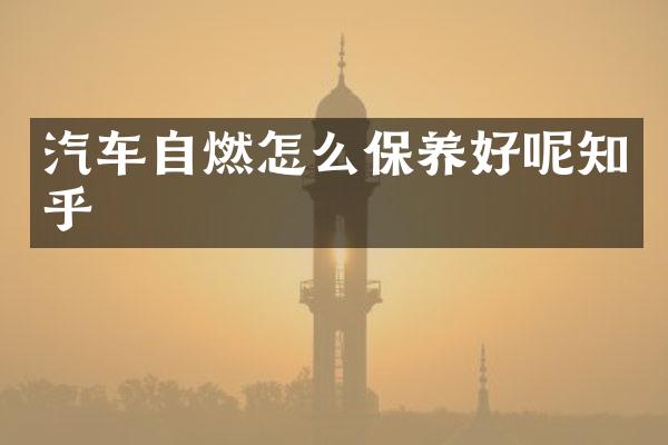 汽车自燃怎么保养好呢知乎
