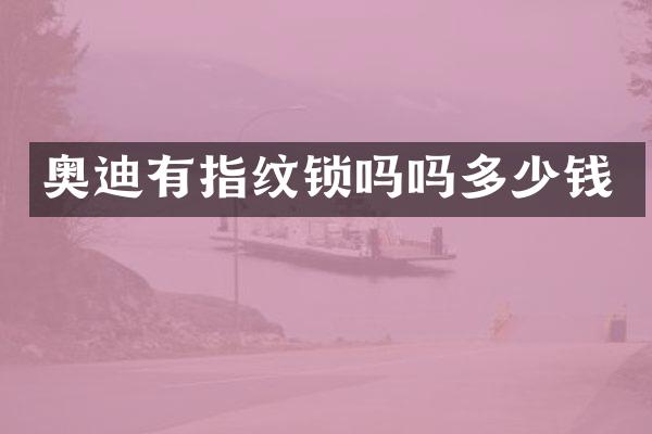 奥迪有指纹锁吗吗多少钱
