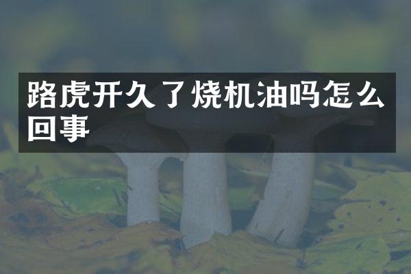 路虎开久了烧机油吗怎么回事