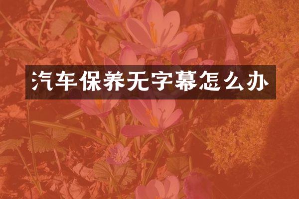 汽车保养无字幕怎么办