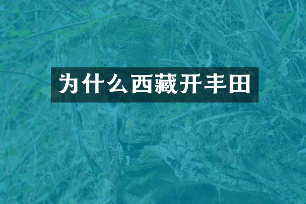 为什么西藏开丰田