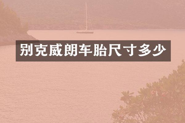 别克威朗车胎尺寸多少