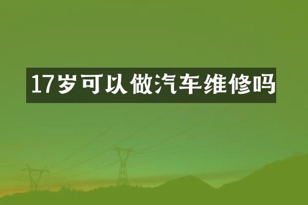 17岁可以做汽车维修吗