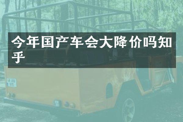今年国产车会大降价吗知乎