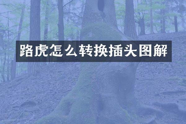 路虎怎么转换插头图解