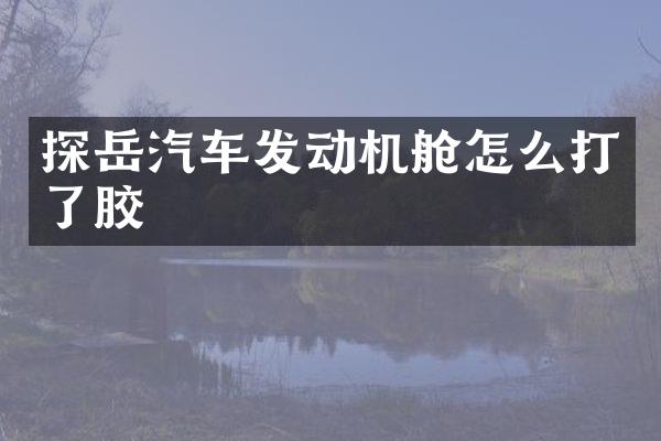 探岳汽车发动机舱怎么打了胶