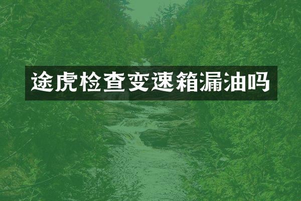 途虎检查变速箱漏油吗