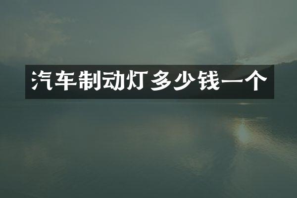汽车制动灯多少钱一个