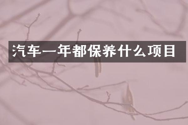 汽车一年都保养什么项目