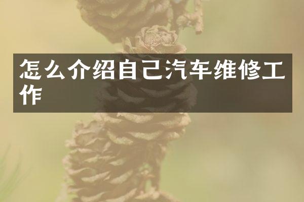 怎么介绍自己汽车维修工作