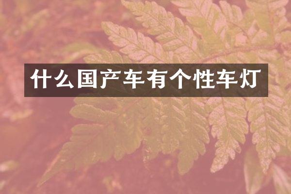 什么国产车有个性车灯