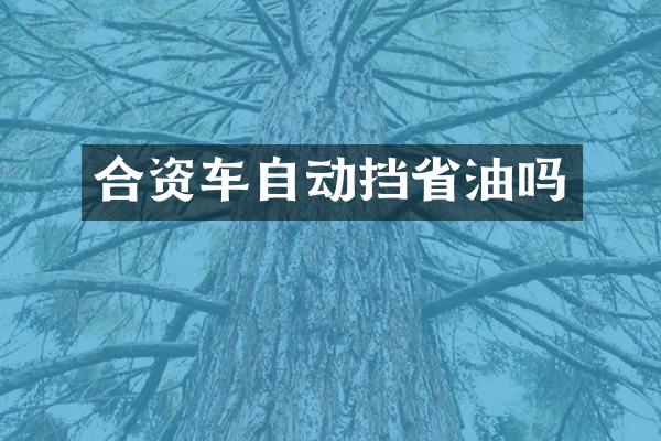 合资车自动挡省油吗