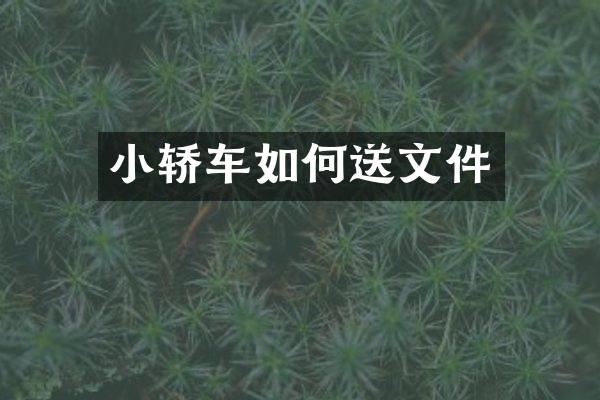 小轿车如何送文件