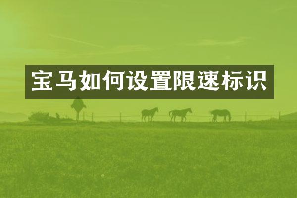 宝马如何设置限速标识