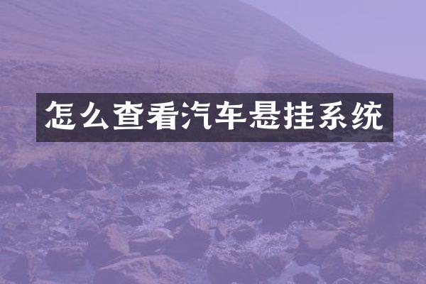 怎么查看汽车悬挂系统