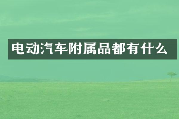 电动汽车附属品都有什么