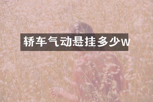 轿车气动悬挂多少w