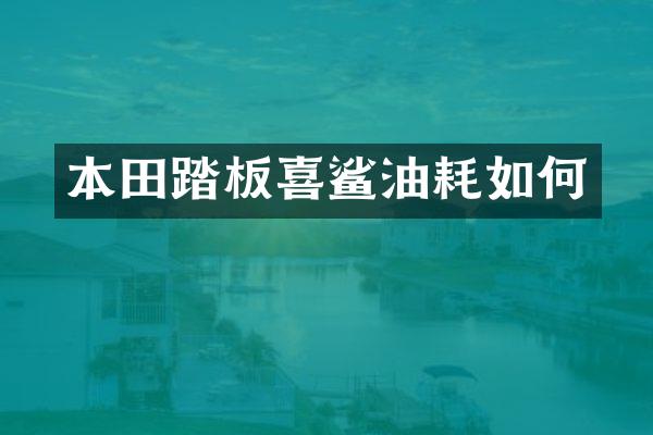 本田踏板喜鲨油耗如何