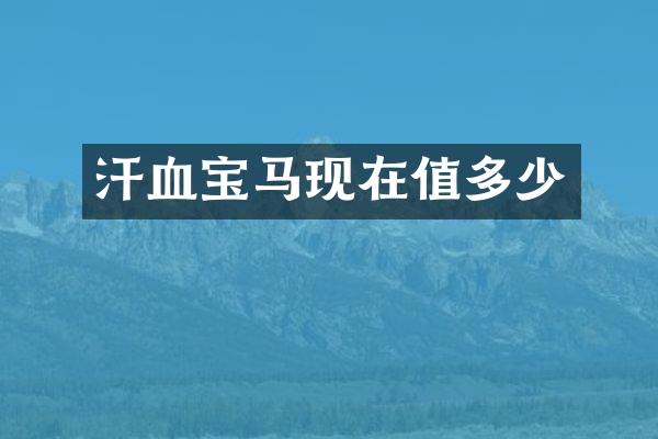 汗血宝马现在值多少