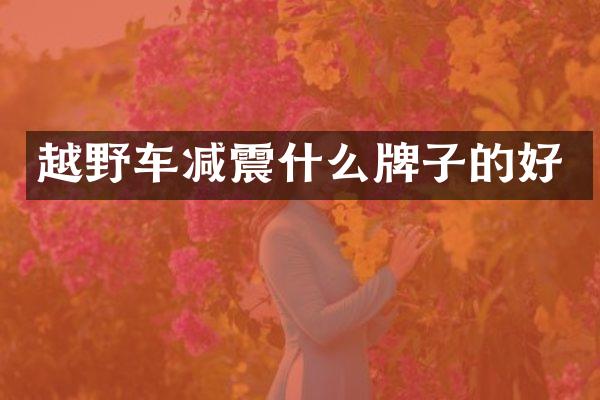 越野车减震什么牌子的好