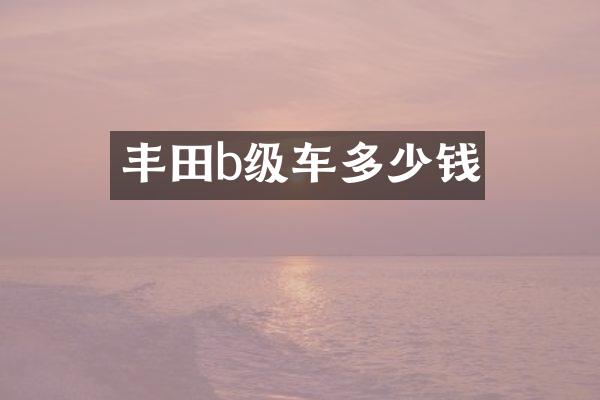 丰田b级车多少钱