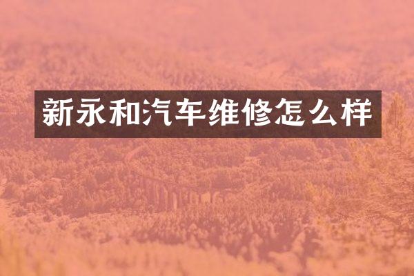 新永和汽车维修怎么样