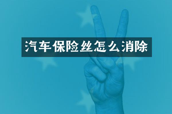 汽车保险丝怎么消除