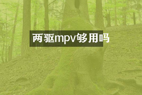 两驱mpv够用吗