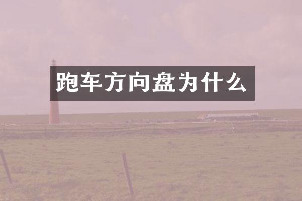 跑车方向盘为什么
