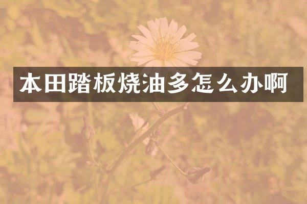 本田踏板烧油多怎么办啊