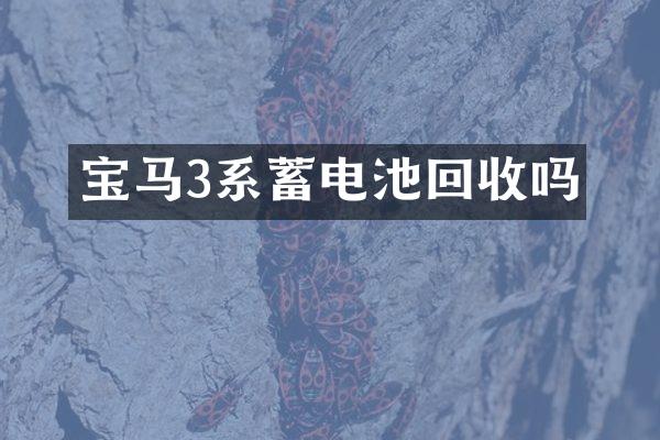 宝马3系蓄电池回收吗