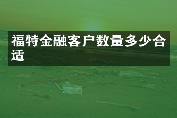 福特金融客户数量多少合适