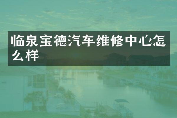 临泉宝德汽车维修中心怎么样