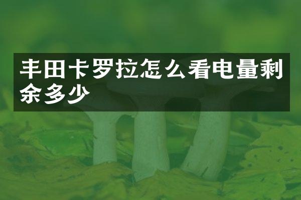 丰田卡罗拉怎么看电量剩余多少