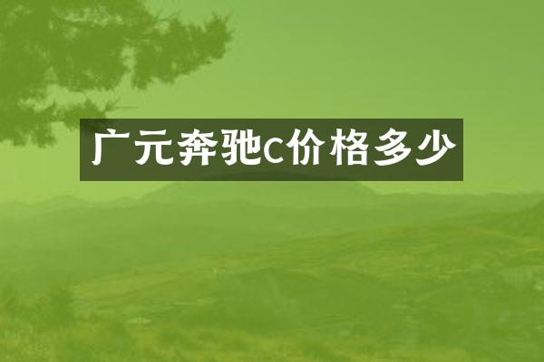 广元奔驰c价格多少