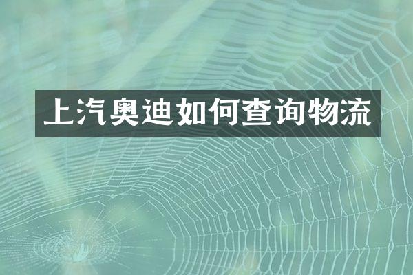 上汽奥迪如何查询物流