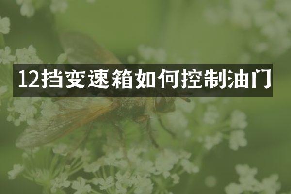 12挡变速箱如何控制油门