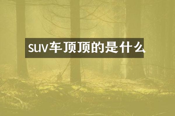 suv车顶顶的是什么
